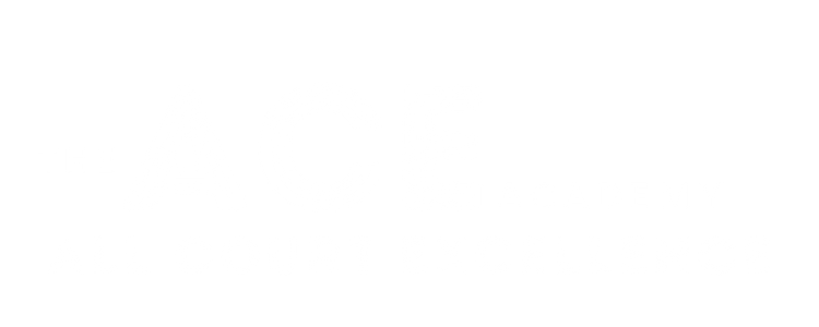 The ACE Academy